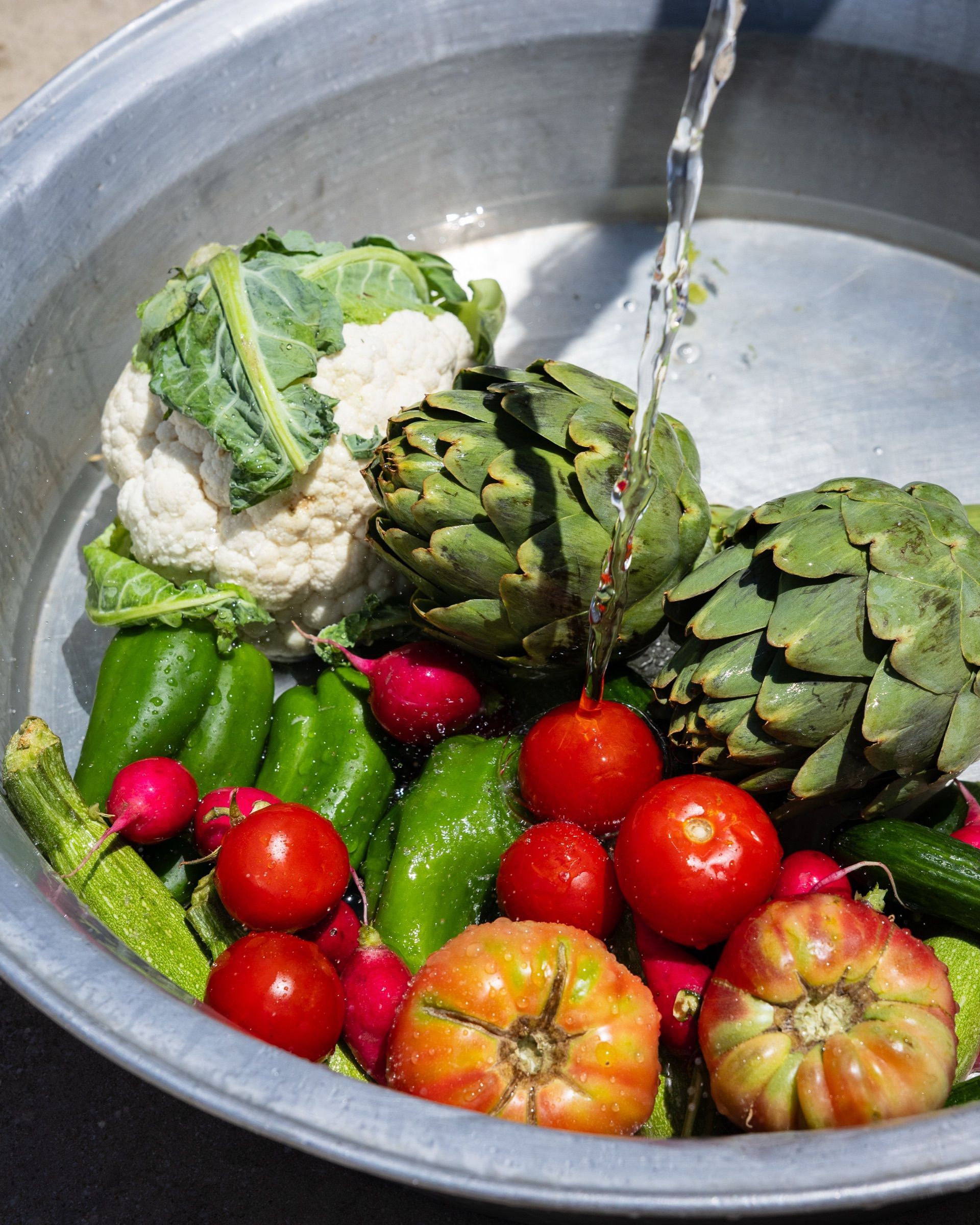 Artichokes, radishes, tomatoes and cauliflower being washed under running water in a galvanised basin
