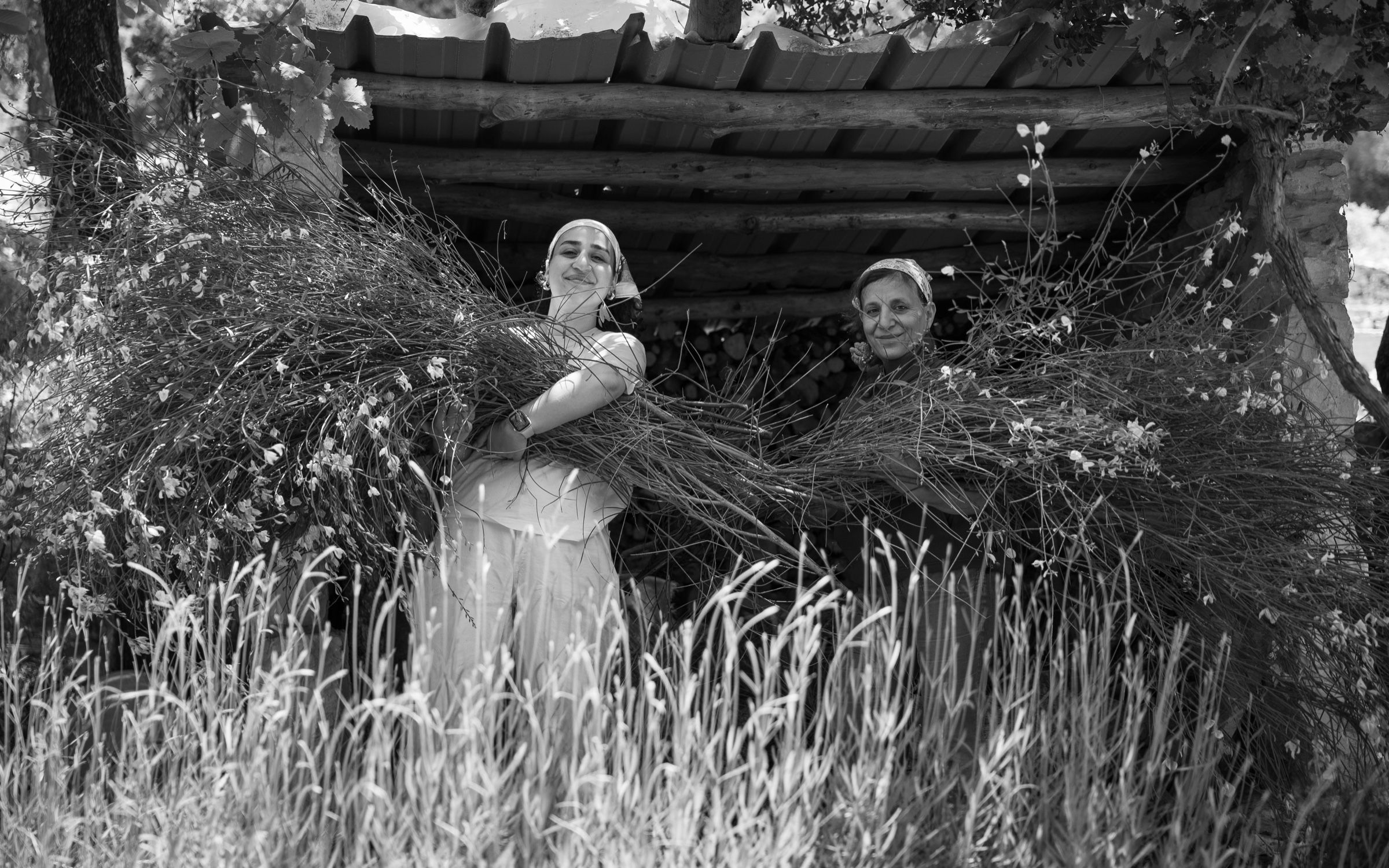 A black-and-white photograph of two women, one young and one older, each carrying a huge armful of flowering branches under a rustic wooden shelter, tall grass in the foreground
