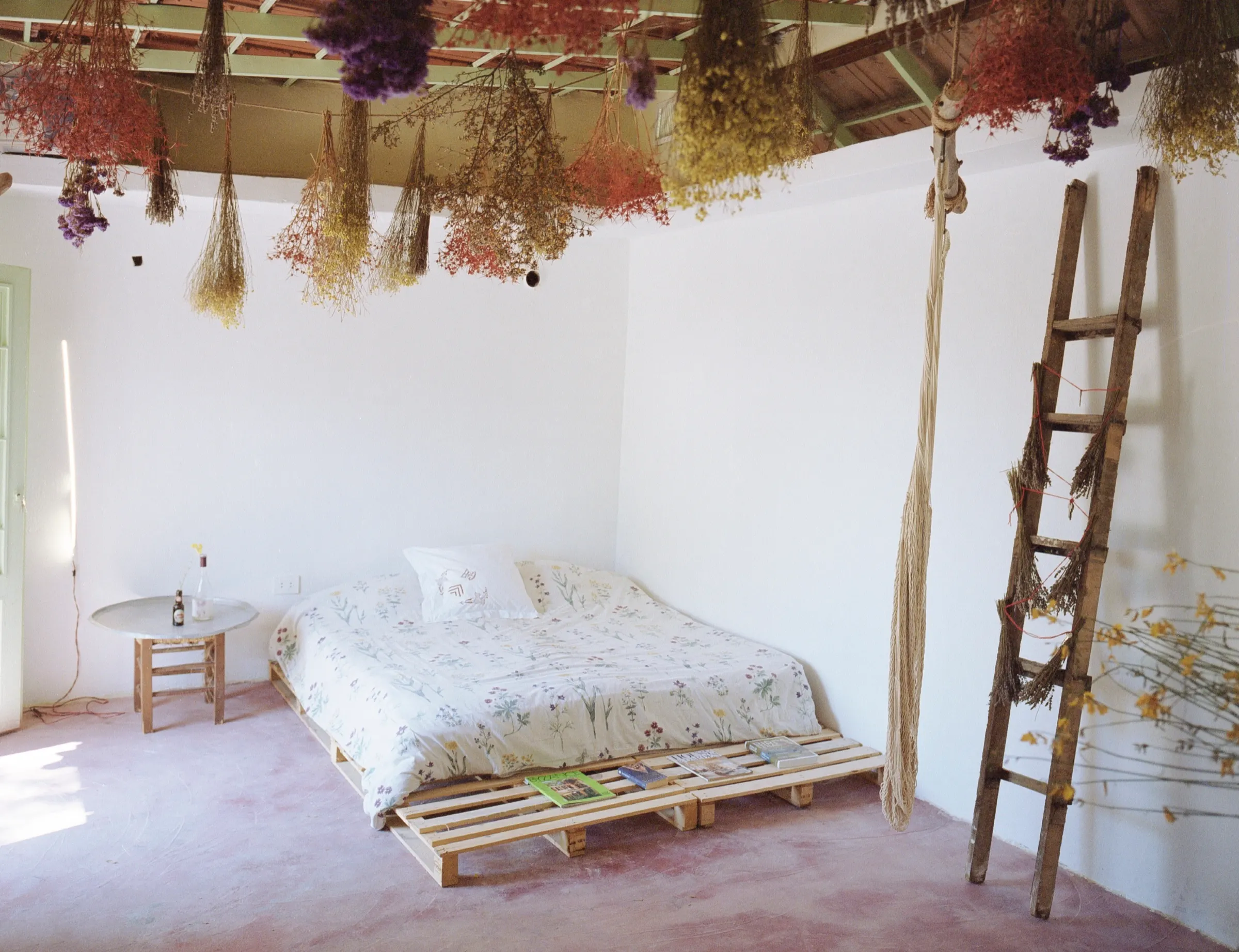 A whitewashed room with a low pallet bed and a floral quilt, a wooden ladder against the wall, and dense bundles of dried flowers hanging from the ceiling beams